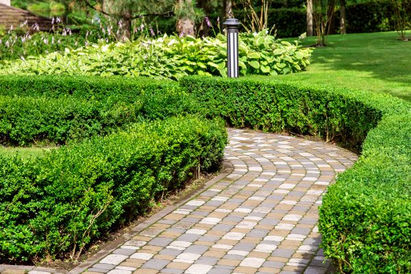 Cost of Paved Landscaping in Tempe